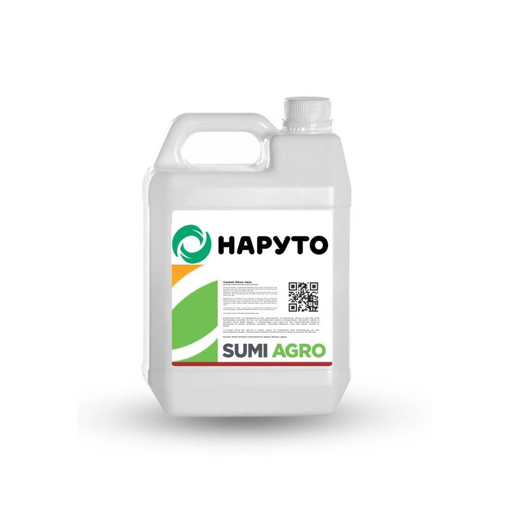 d09dd0b0d180d183d182d0be.jpg Наруто, КС - Зображення 1