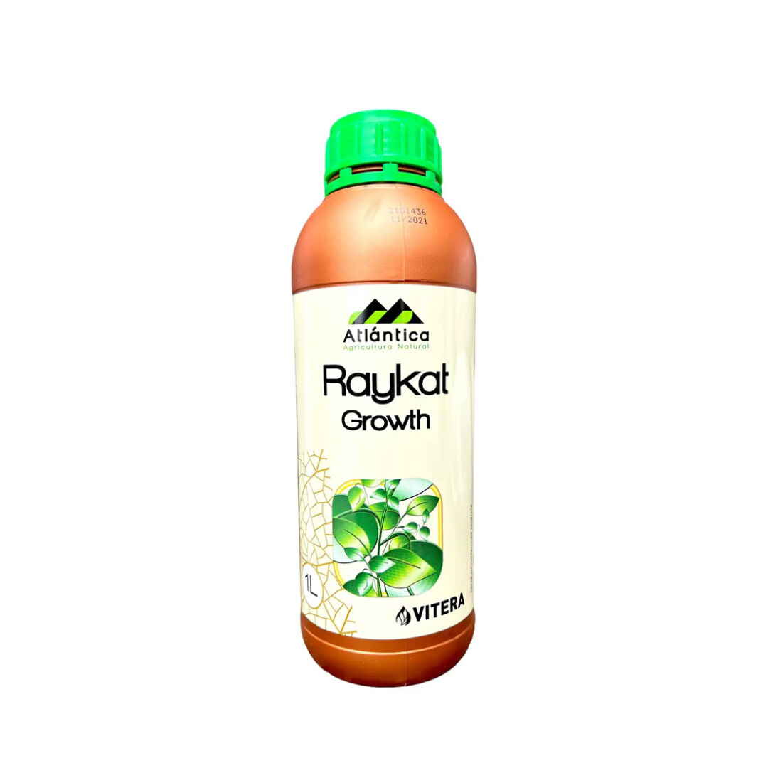 raykat-rost.jpg РАЙКАТ ріст - Зображення 1