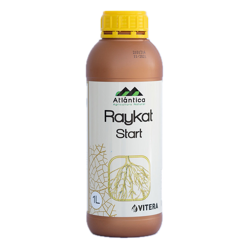 raykat-start-1.jpg РАЙКАТ старт - Зображення 1